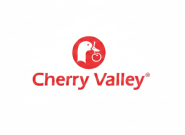 Gemini_Generated_Image_3nuz7v3nuz7v3nuz